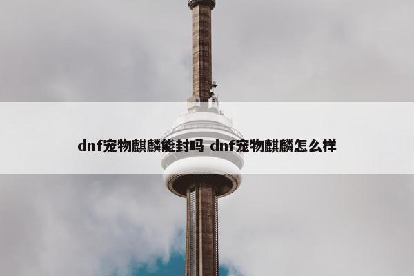 dnf宠物麒麟能封吗 dnf宠物麒麟怎么样