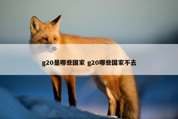 g20是哪些国家 g20哪些国家不去