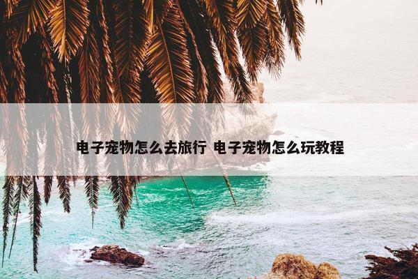 电子宠物怎么去旅行 电子宠物怎么玩教程