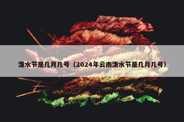 泼水节是几月几号（2024年云南泼水节是几月几号）