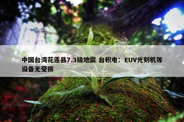 中国台湾花莲县7.3级地震 台积电：EUV光刻机等设备无受损