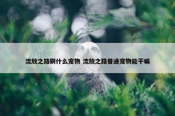 流放之路刷什么宠物 流放之路普通宠物能干嘛