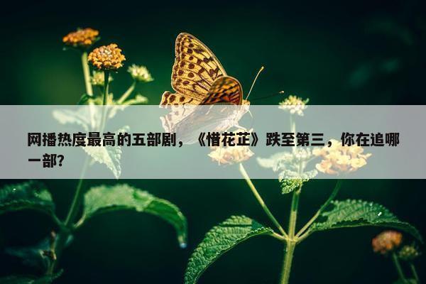 网播热度最高的五部剧，《惜花芷》跌至第三，你在追哪一部？