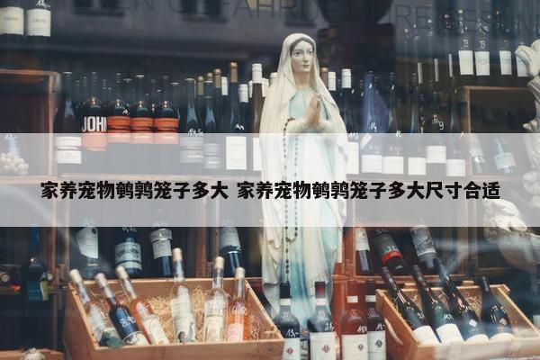 家养宠物鹌鹑笼子多大 家养宠物鹌鹑笼子多大尺寸合适