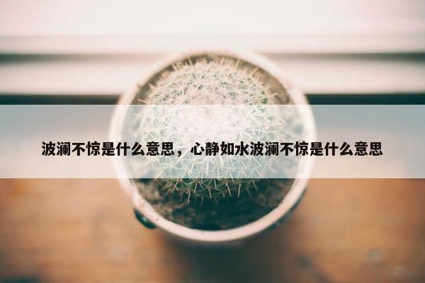 波澜不惊是什么意思，心静如水波澜不惊是什么意思