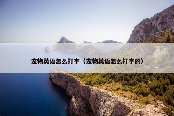 宠物英语怎么打字（宠物英语怎么打字的）