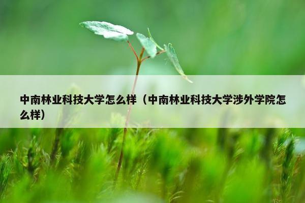 中南林业科技大学怎么样（中南林业科技大学涉外学院怎么样）