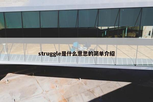 struggle是什么意思的简单介绍