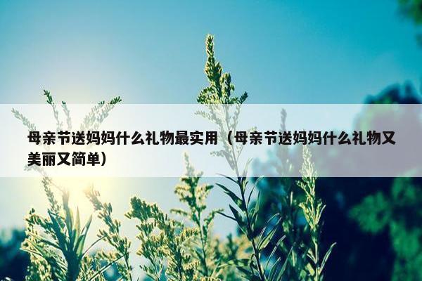 母亲节送妈妈什么礼物最实用（母亲节送妈妈什么礼物又美丽又简单）