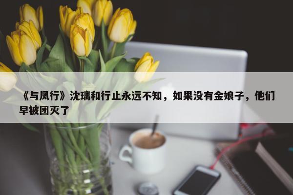 《与凤行》沈璃和行止永远不知，如果没有金娘子，他们早被团灭了