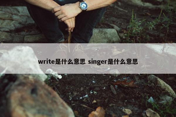 write是什么意思 singer是什么意思