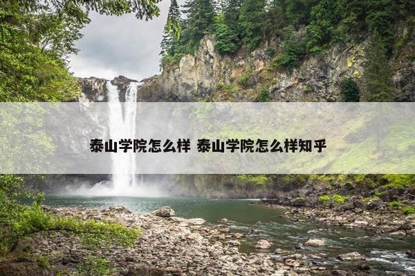 泰山学院怎么样 泰山学院怎么样知乎