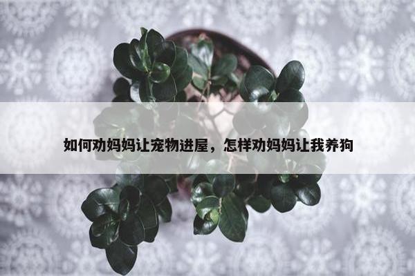 如何劝妈妈让宠物进屋，怎样劝妈妈让我养狗