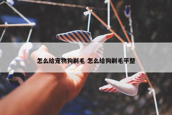 怎么给宠物狗剃毛 怎么给狗剃毛平整