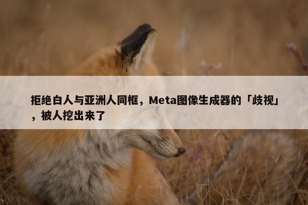 拒绝白人与亚洲人同框，Meta图像生成器的「歧视」，被人挖出来了