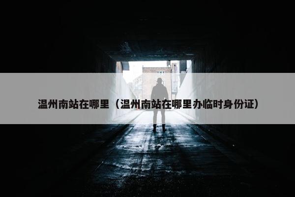 温州南站在哪里（温州南站在哪里办临时身份证）