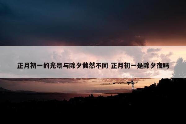 正月初一的光景与除夕截然不同 正月初一是除夕夜吗