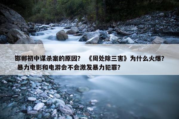 邯郸初中谋杀案的原因？ 《周处除三害》为什么火爆？ 暴力电影和电游会不会激发暴力犯罪？