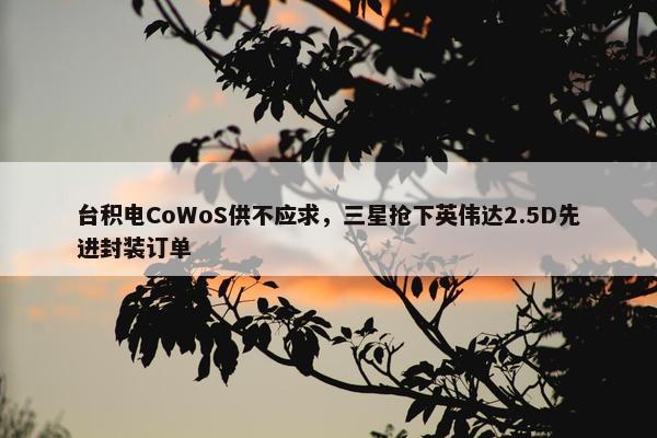 台积电CoWoS供不应求，三星抢下英伟达2.5D先进封装订单