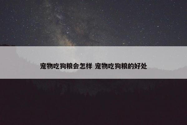 宠物吃狗粮会怎样 宠物吃狗粮的好处