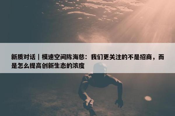 新质对话｜模速空间陈海慈：我们更关注的不是招商，而是怎么提高创新生态的浓度