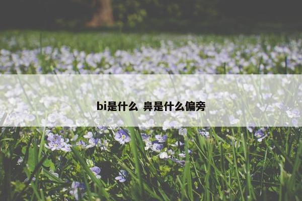 bi是什么 鼻是什么偏旁