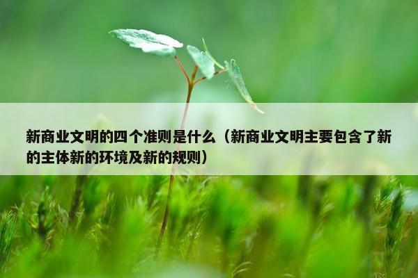 新商业文明的四个准则是什么（新商业文明主要包含了新的主体新的环境及新的规则）