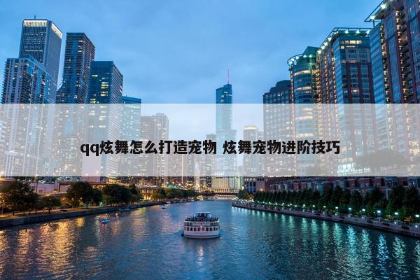 qq炫舞怎么打造宠物 炫舞宠物进阶技巧