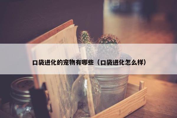 口袋进化的宠物有哪些（口袋进化怎么样）