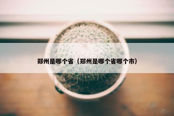 郑州是哪个省（郑州是哪个省哪个市）