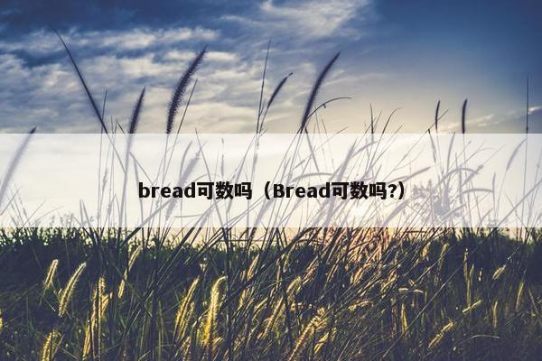 bread可数吗（Bread可数吗?）