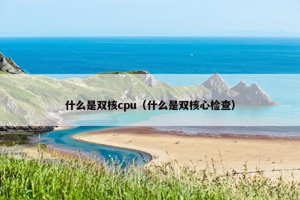 什么是双核cpu（什么是双核心检查）