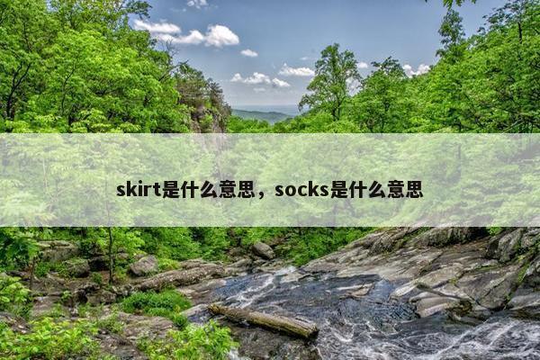 skirt是什么意思，socks是什么意思