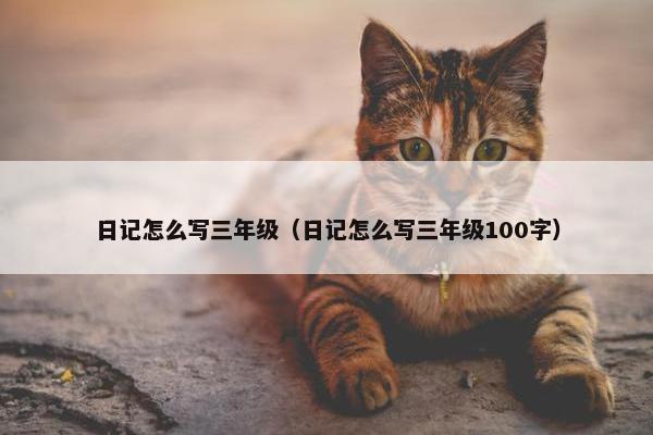 日记怎么写三年级（日记怎么写三年级100字）