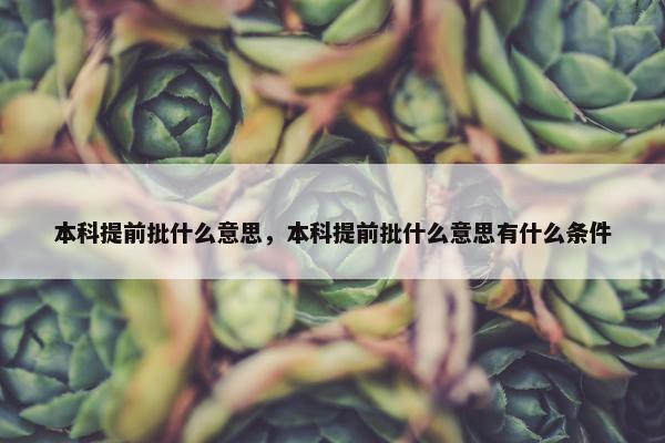 本科提前批什么意思，本科提前批什么意思有什么条件