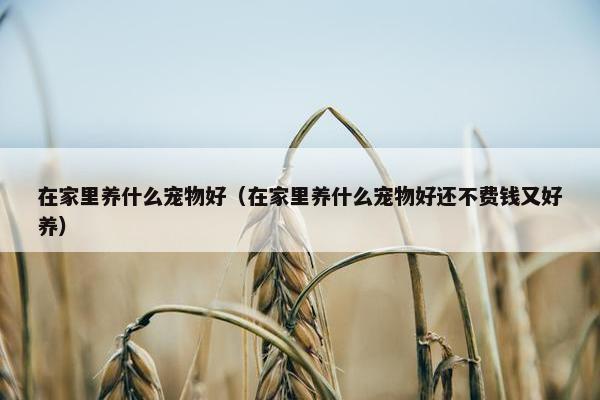 在家里养什么宠物好（在家里养什么宠物好还不费钱又好养）