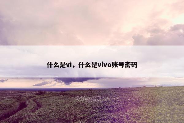 什么是vi，什么是vivo账号密码