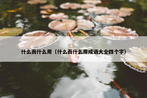 什么而什么用（什么而什么用成语大全四个字）