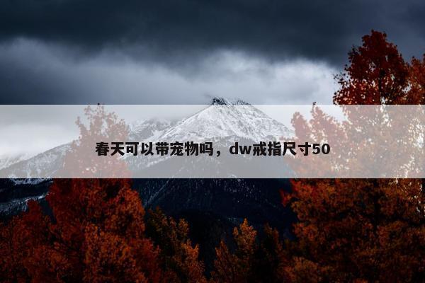 春天可以带宠物吗，dw戒指尺寸50