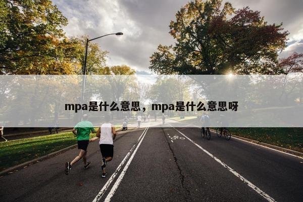 mpa是什么意思，mpa是什么意思呀