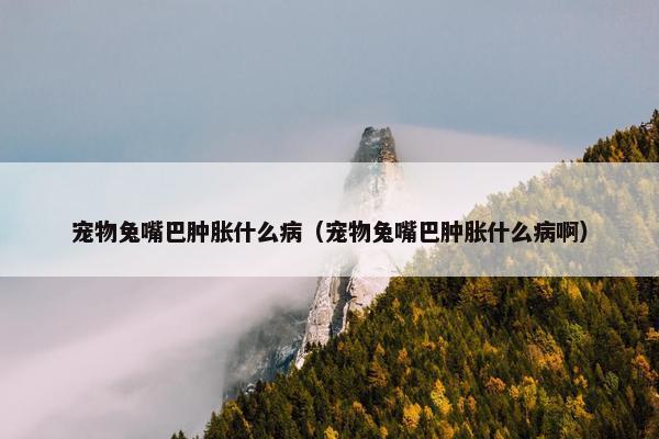 宠物兔嘴巴肿胀什么病（宠物兔嘴巴肿胀什么病啊）