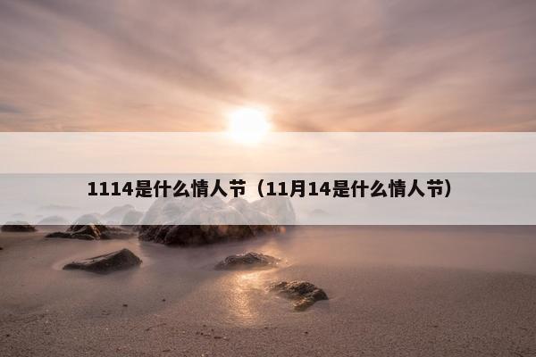 1114是什么情人节（11月14是什么情人节）