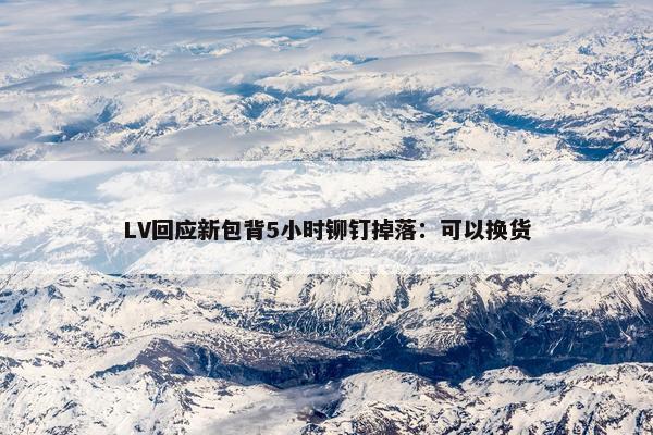 LV回应新包背5小时铆钉掉落：可以换货