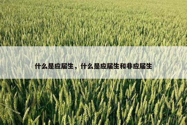 什么是应届生，什么是应届生和非应届生