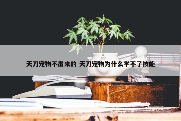 天刀宠物不出来的 天刀宠物为什么学不了技能