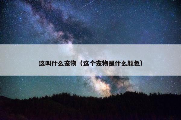 这叫什么宠物（这个宠物是什么颜色）