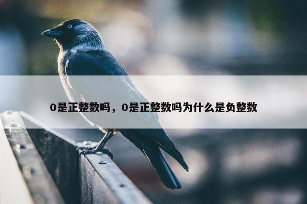 0是正整数吗，0是正整数吗为什么是负整数