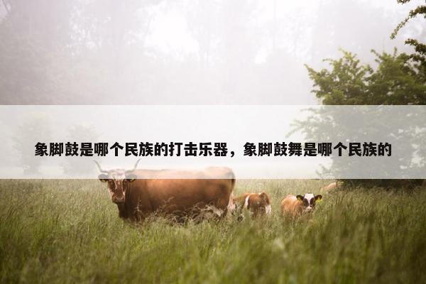 象脚鼓是哪个民族的打击乐器，象脚鼓舞是哪个民族的