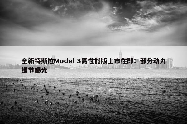 全新特斯拉Model 3高性能版上市在即：部分动力细节曝光