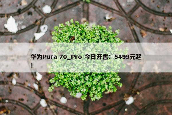 华为Pura 70_Pro 今日开售：5499元起！